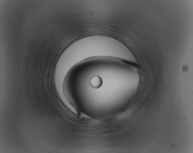 X0000094940096200712131610