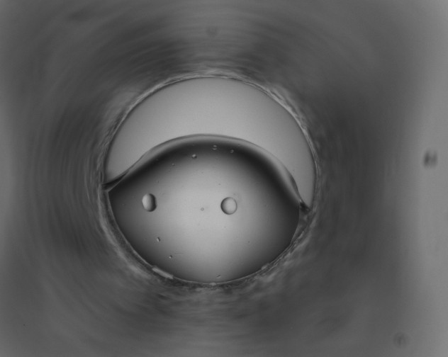 X0000094940097200712131609