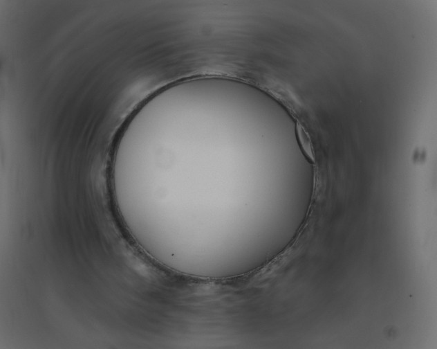 X0000094940098200712131609