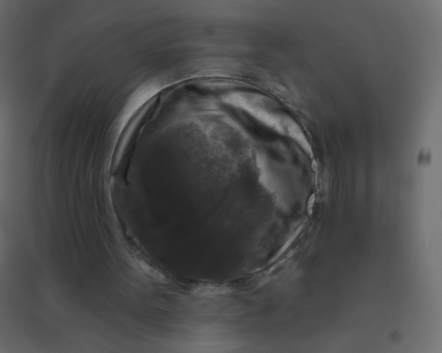 X0000094940099200712131609