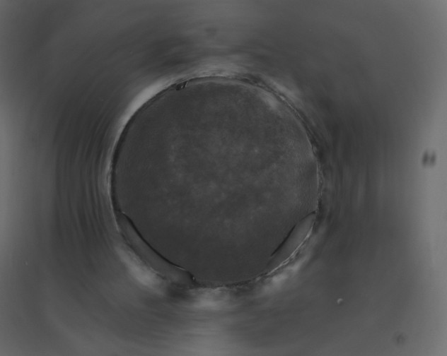 X0000094940100200712131609