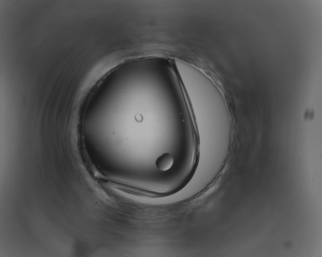 X0000094940101200712131609