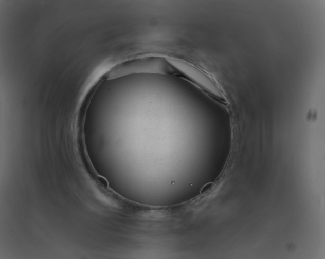 X0000094940102200712131609