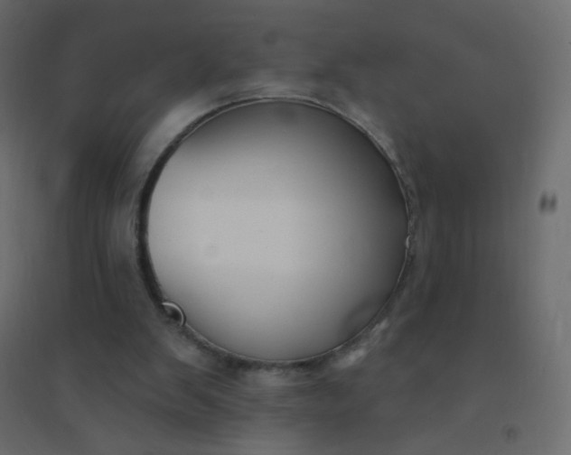 X0000094940103200712131609