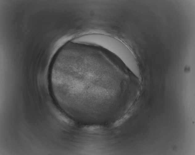 X0000094940104200712131609