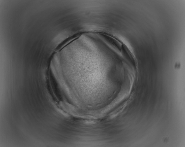 X0000094940105200712131609