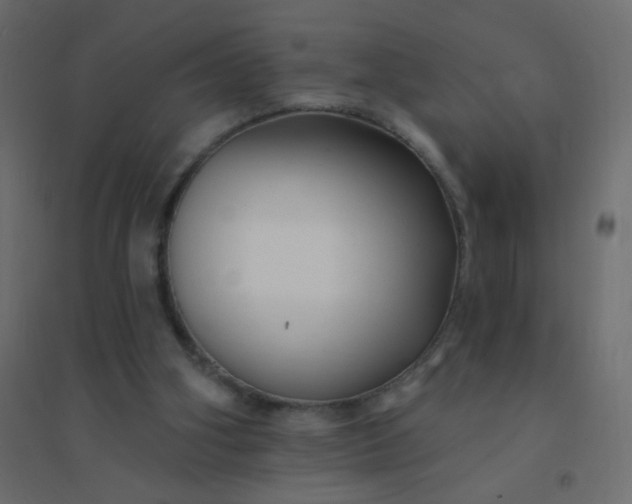 X0000094940106200712131609