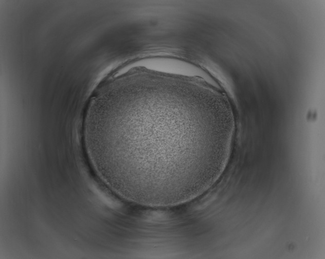 X0000094940107200712131609