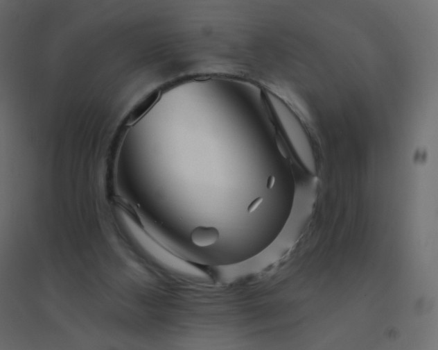 X0000094940108200712131609