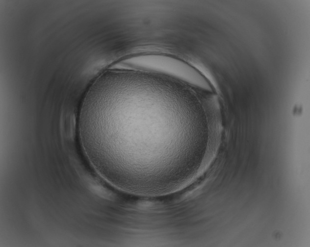 X0000094940109200712131609