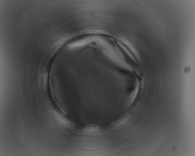 X0000094940110200712131609