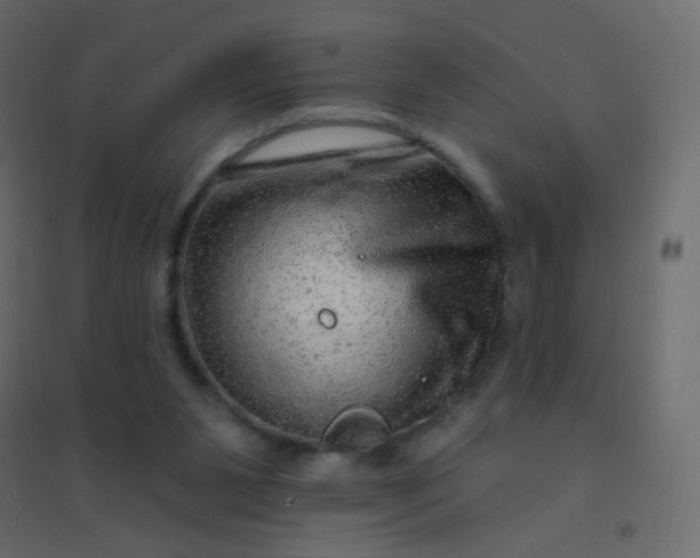 X0000094940111200712131609