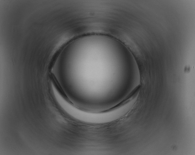 X0000094940112200712131609