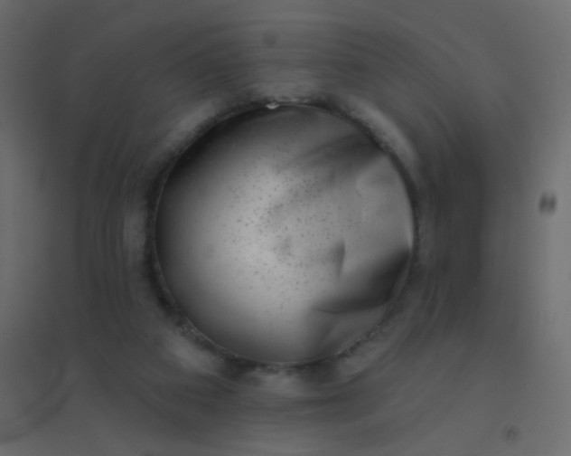 X0000094940113200712131609