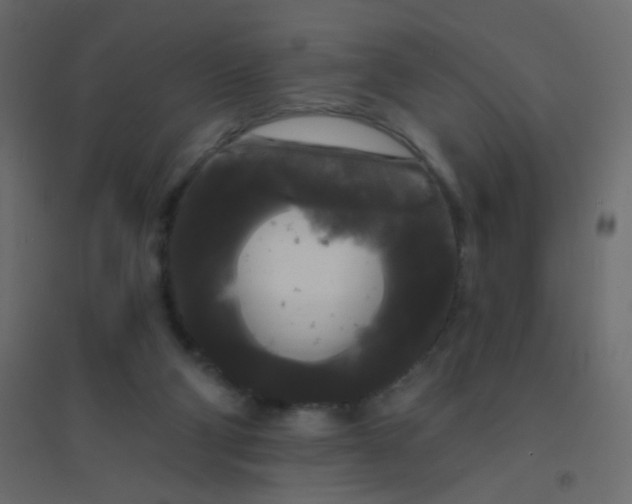 X0000094940114200712131609