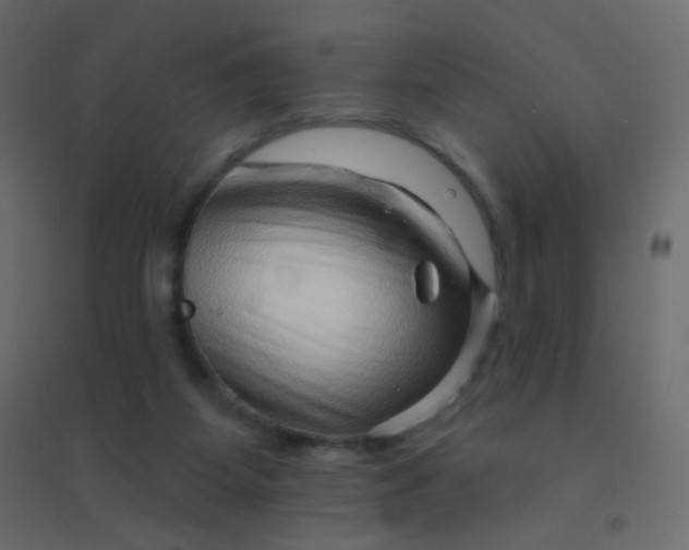 X0000094940115200712131609