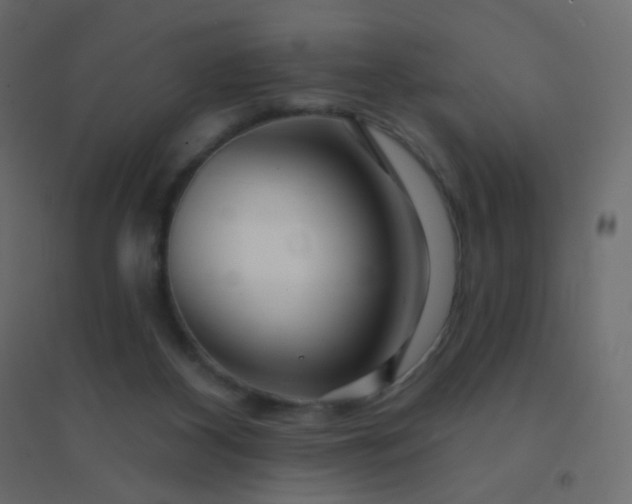 X0000094940116200712131609