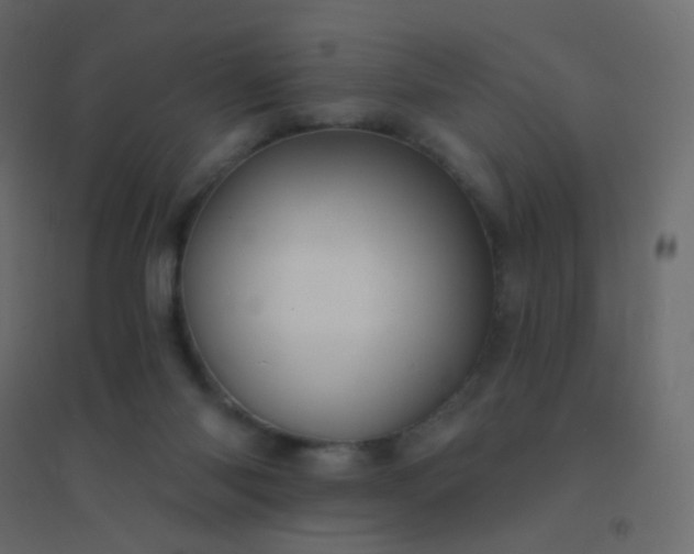 X0000094940118200712131609