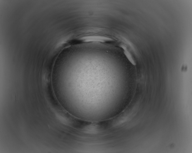 X0000094940119200712131609