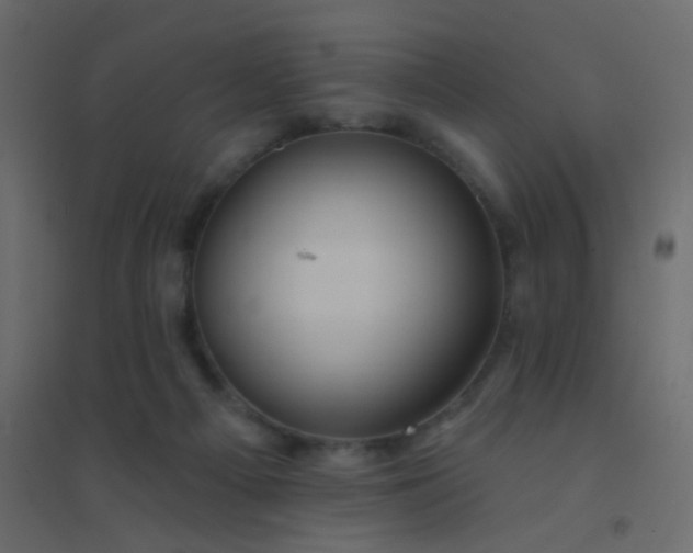 X0000094940121200712131609