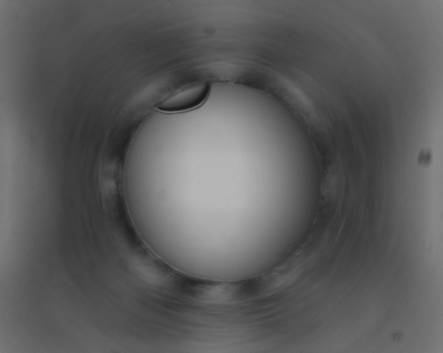 X0000094940122200712131609