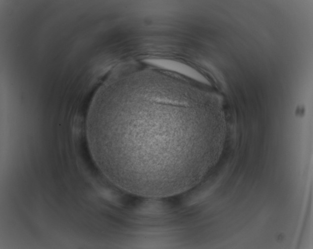 X0000094940123200712131609