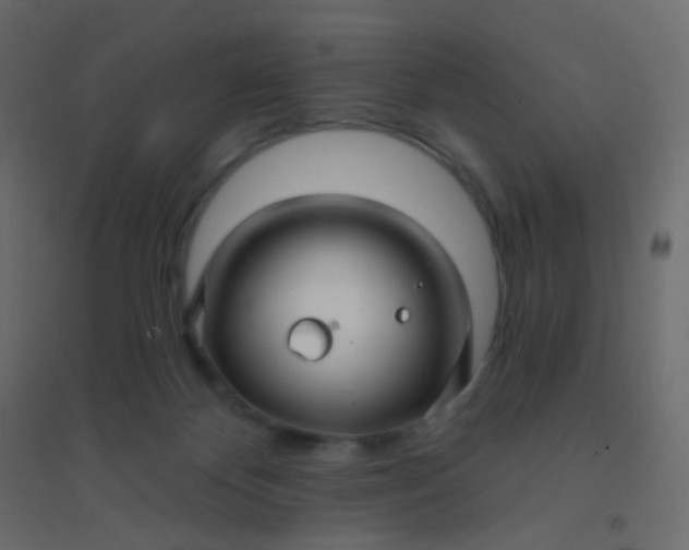 X0000094940124200712131609