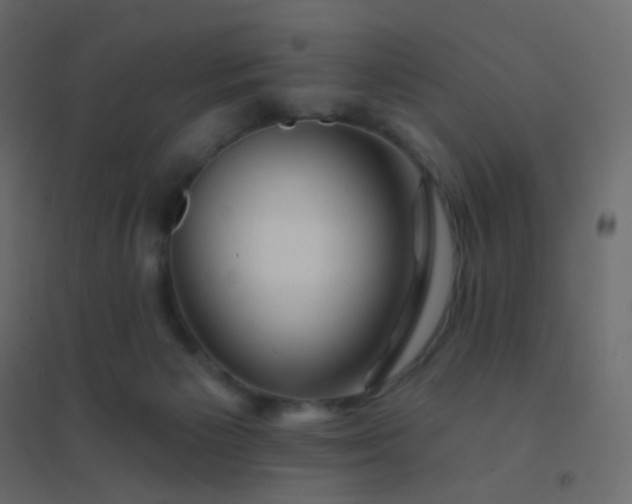 X0000094940125200712131609