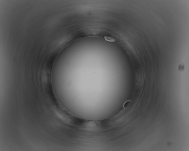 X0000094940126200712131608