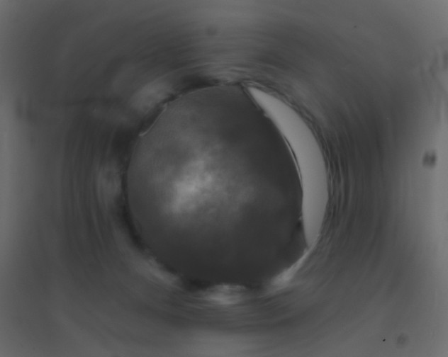 X0000094940128200712131608