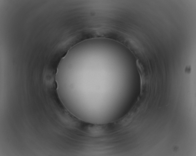 X0000094940129200712131608