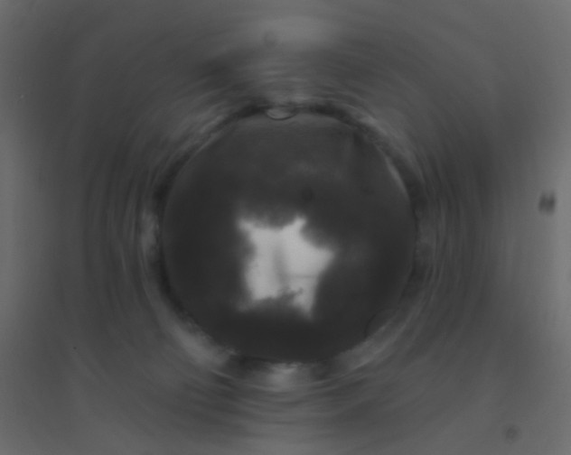 X0000094940130200712131608