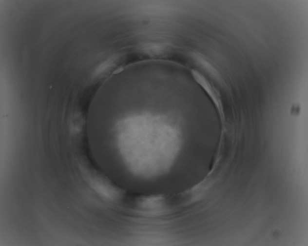 X0000094940132200712131608