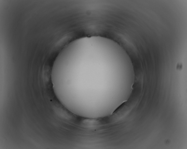 X0000094940133200712131608