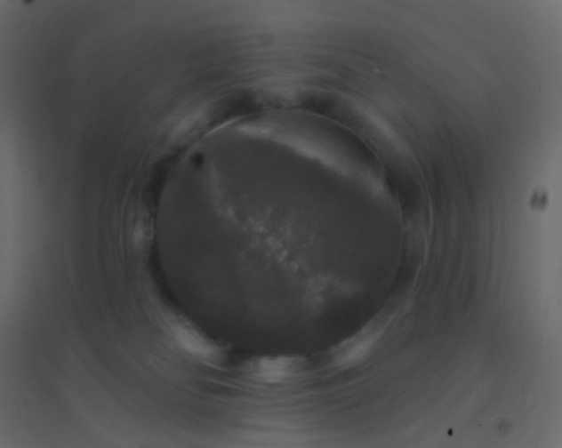 X0000094940134200712131608