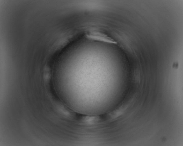 X0000094940135200712131608