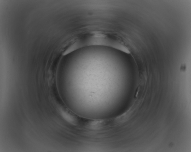 X0000094940136200712131608