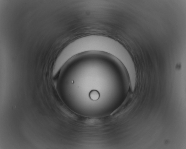 X0000094940137200712131608