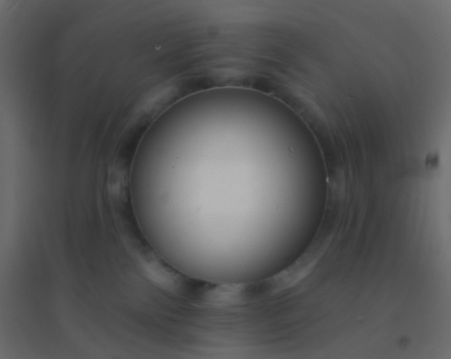 X0000094940138200712131608