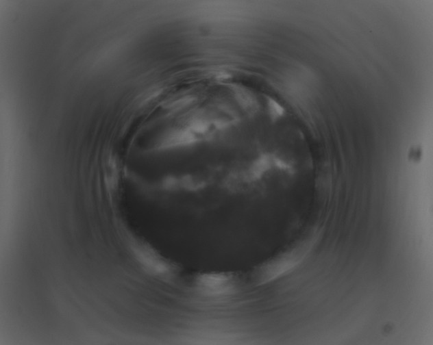 X0000094940139200712131608