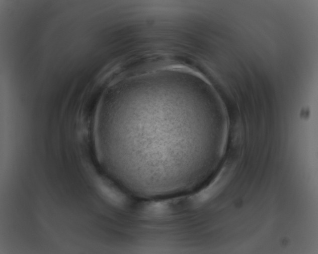 X0000094940140200712131608