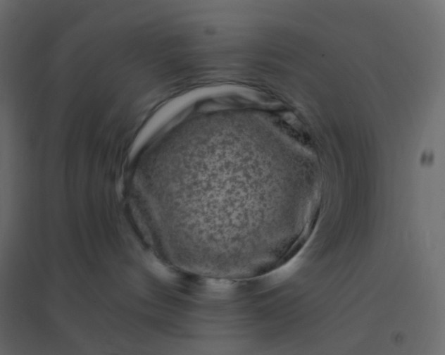 X0000094940144200712131608