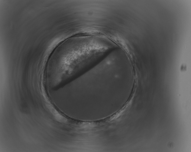 X0000094940145200712131607