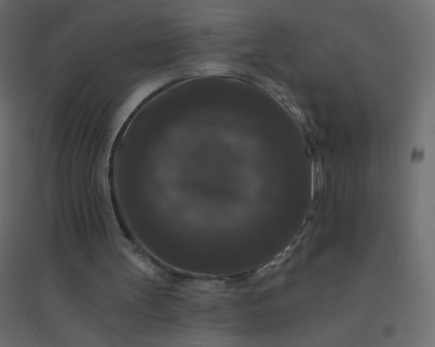 X0000094940147200712131607