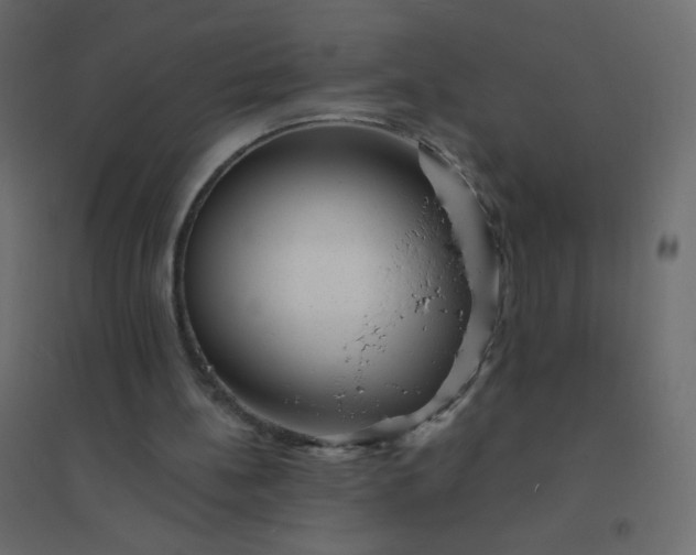 X0000094940148200712131607