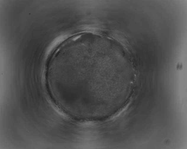 X0000094940149200712131607