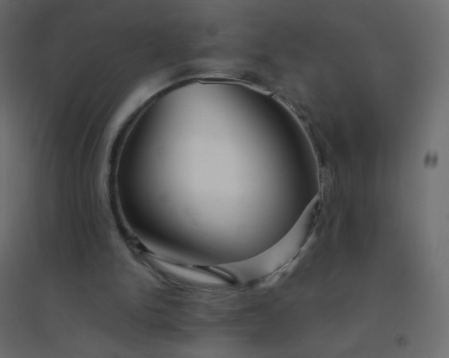 X0000094940150200712131607