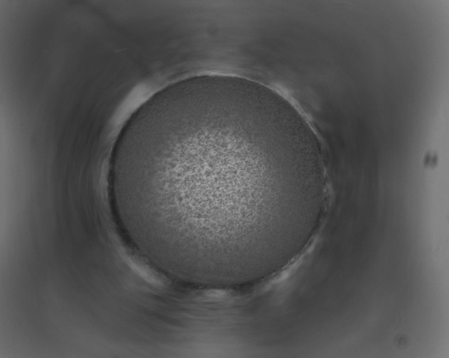 X0000094940151200712131607