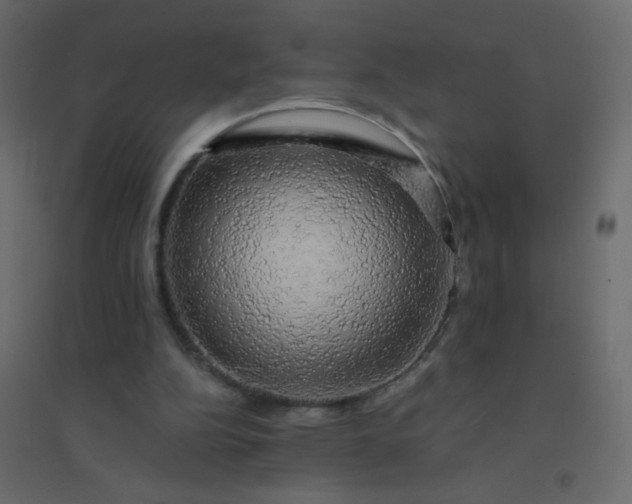 X0000094940152200712131608