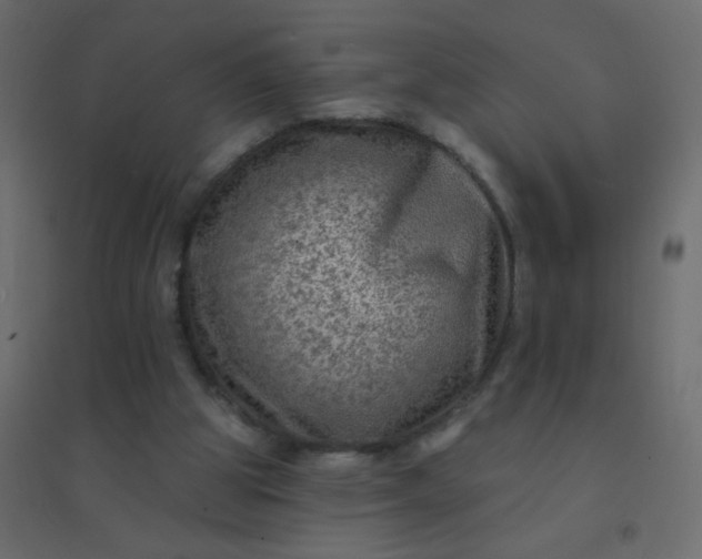 X0000094940153200712131608